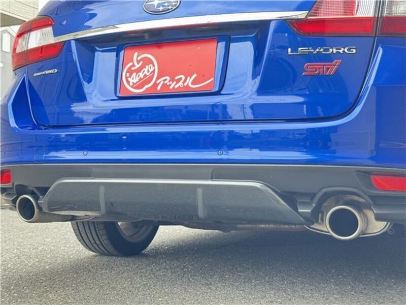 LEVORG