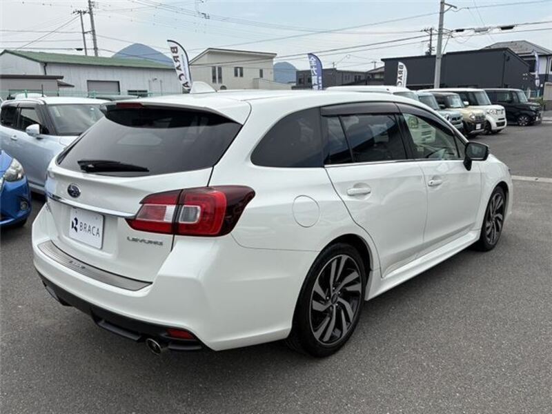 LEVORG
