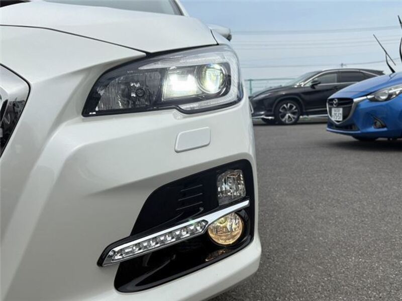 LEVORG