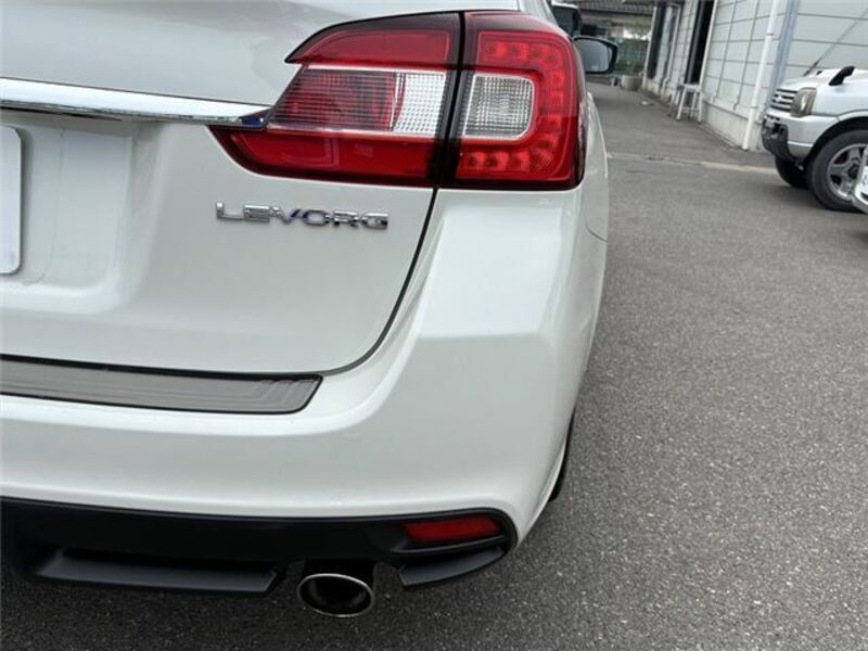 LEVORG