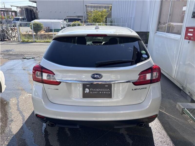 LEVORG
