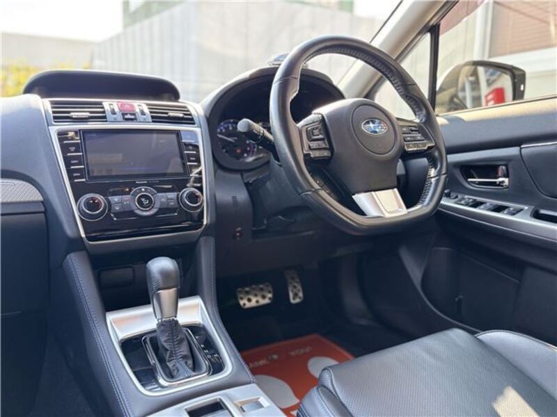 LEVORG