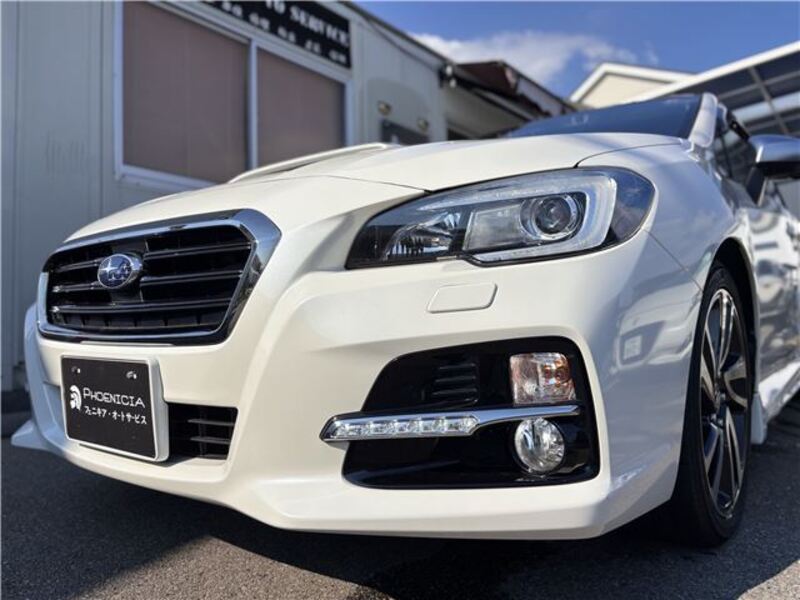 LEVORG