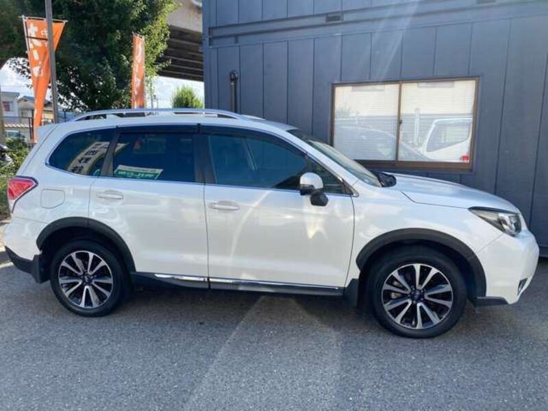 FORESTER