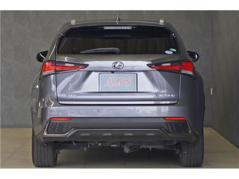 NX