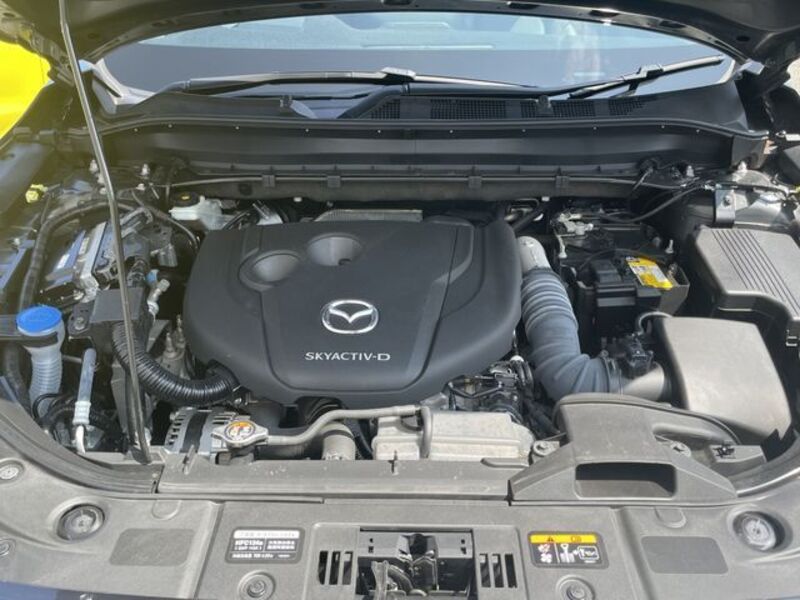 CX-8
