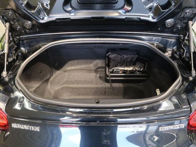 ROADSTER RF