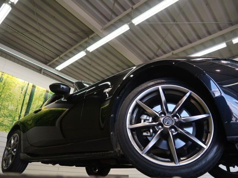 ROADSTER RF