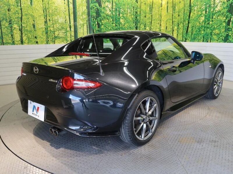 ROADSTER RF