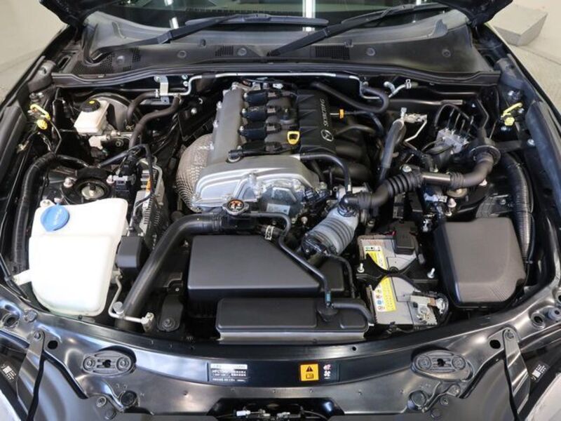ROADSTER RF