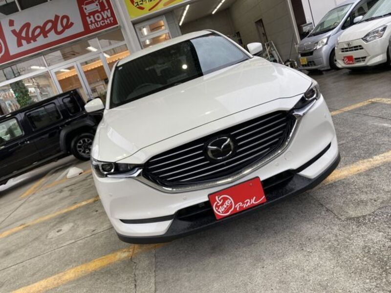 CX-8