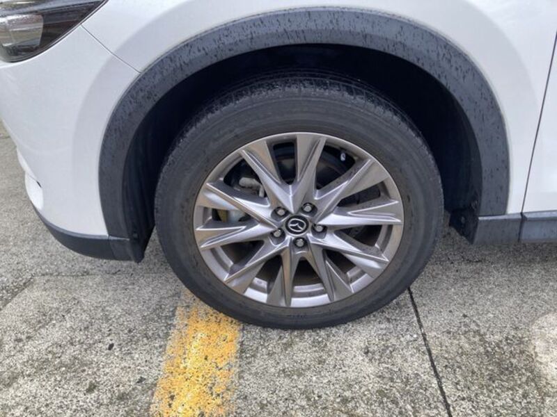 CX-8