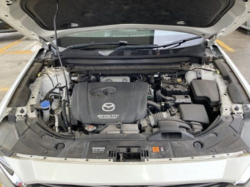 CX-8