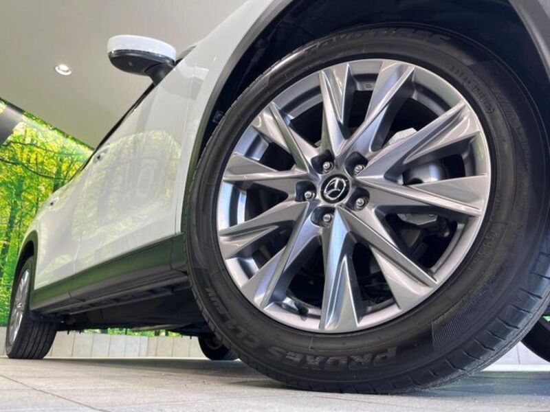 CX-8
