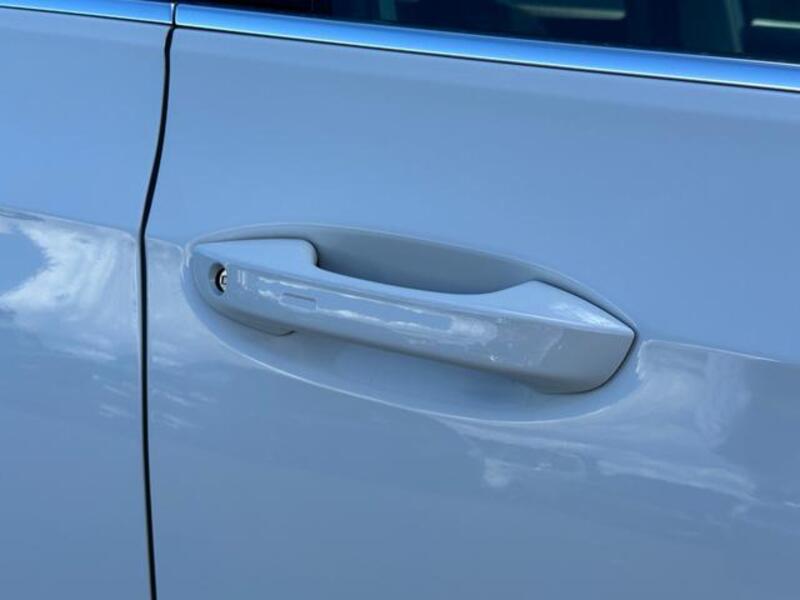 GOLF VARIANT