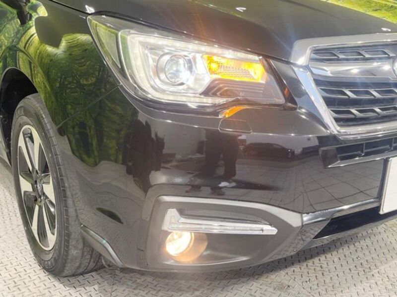 FORESTER