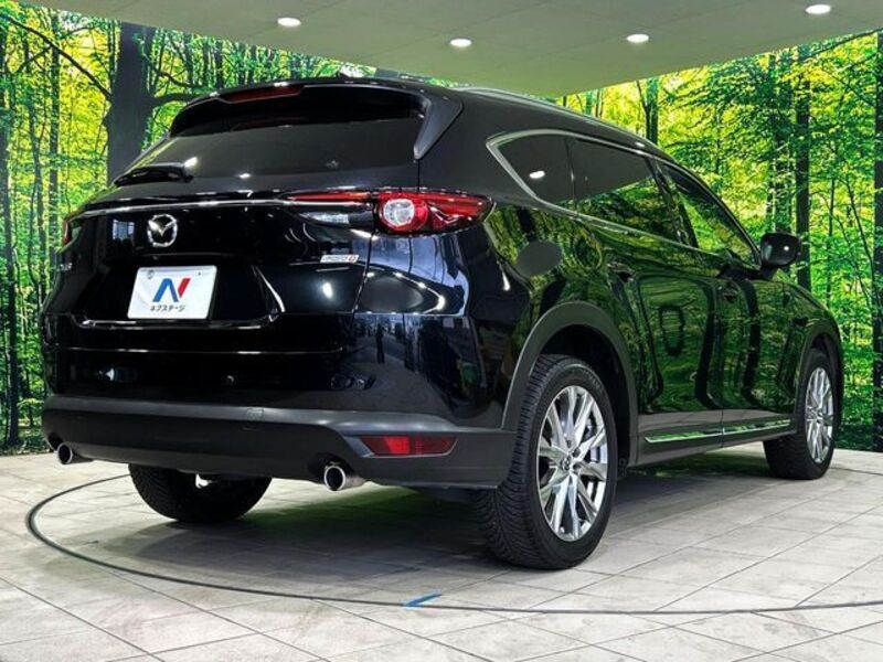 CX-8