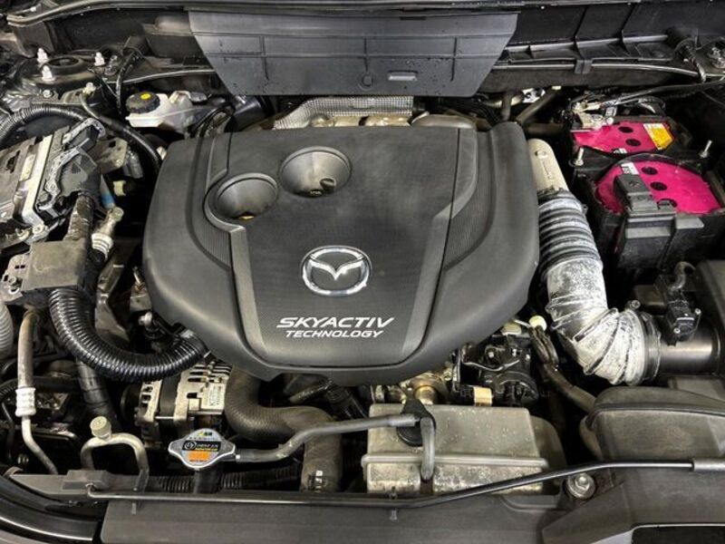 CX-8
