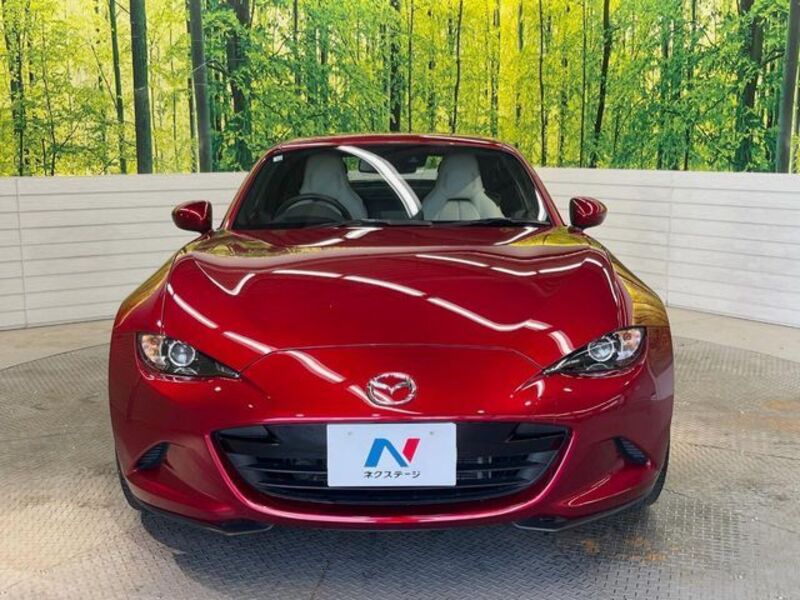 ROADSTER RF