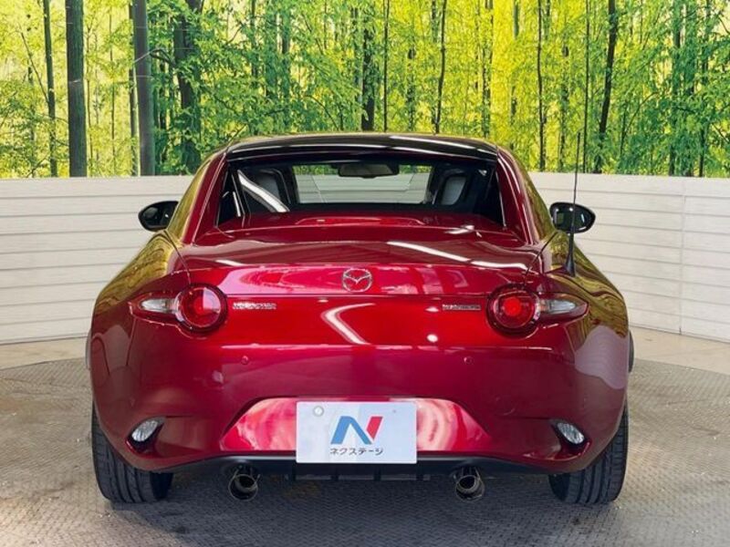 ROADSTER RF