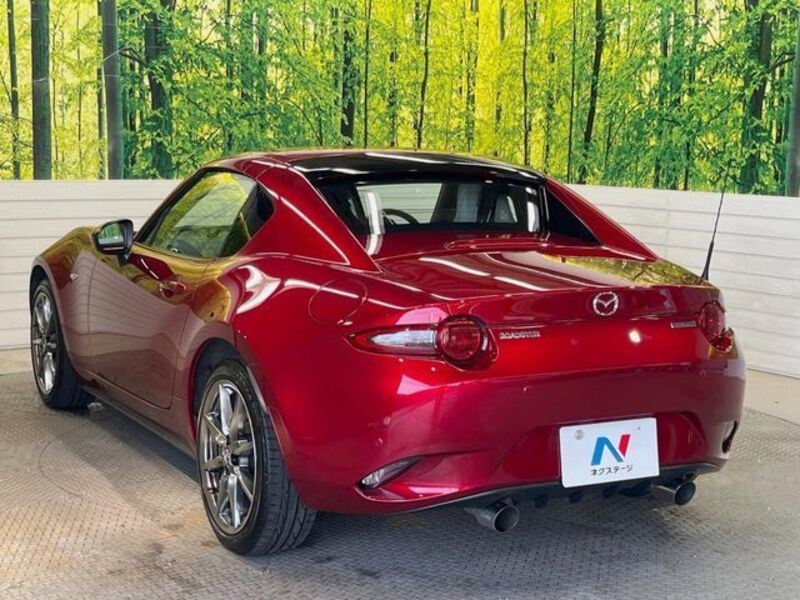 ROADSTER RF