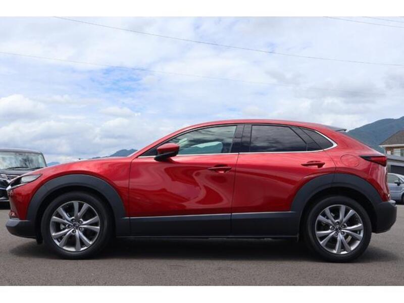 CX-30