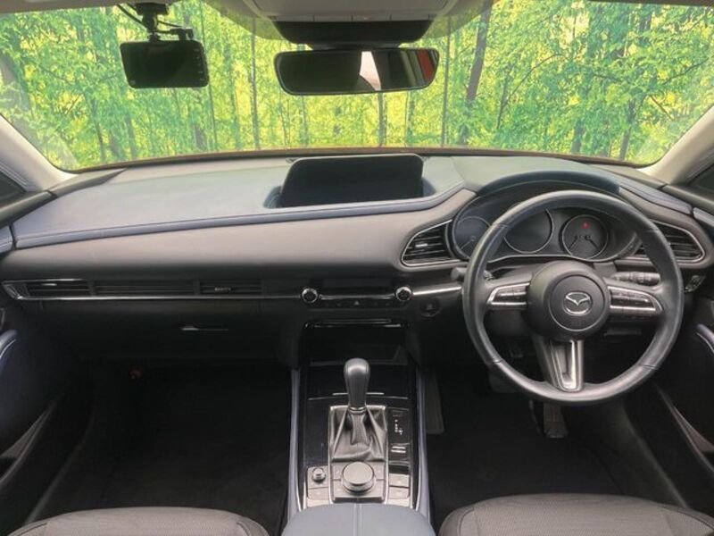 CX-30
