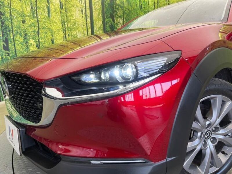 CX-30