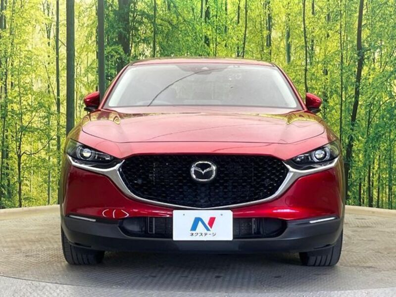 CX-30