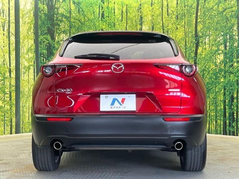 CX-30