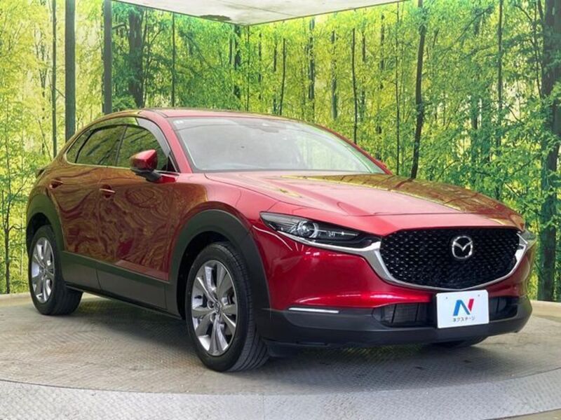 CX-30