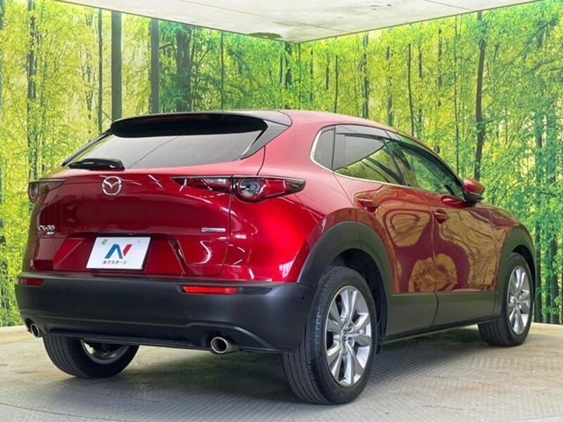 CX-30