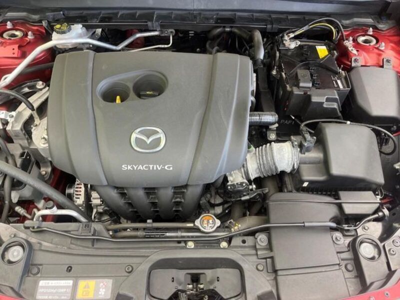 CX-30