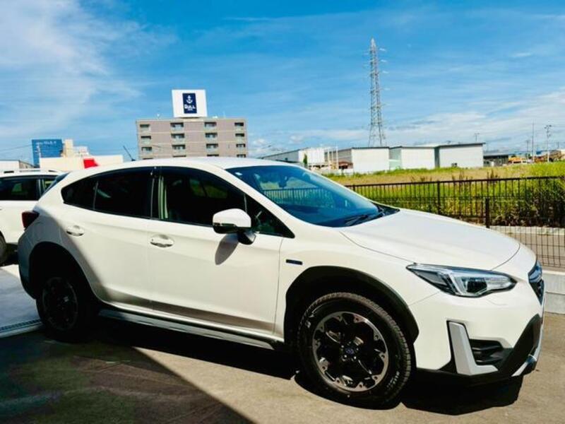 XV