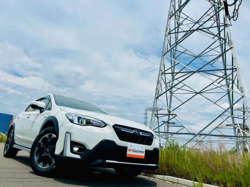 XV