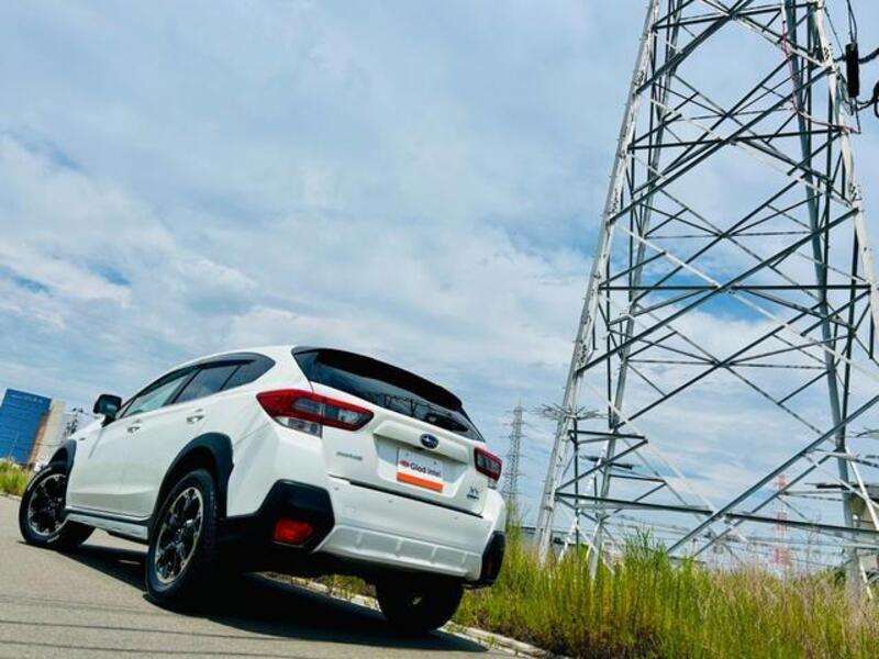 XV