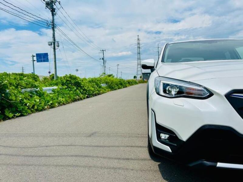XV