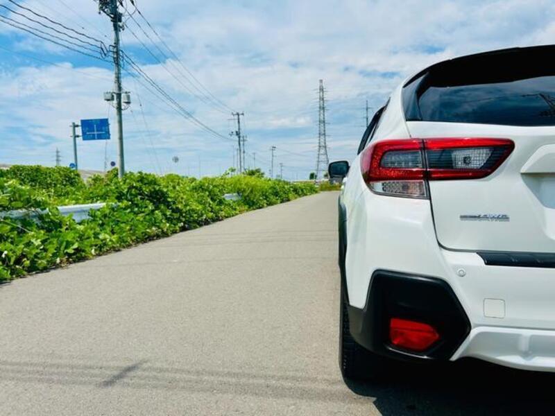XV