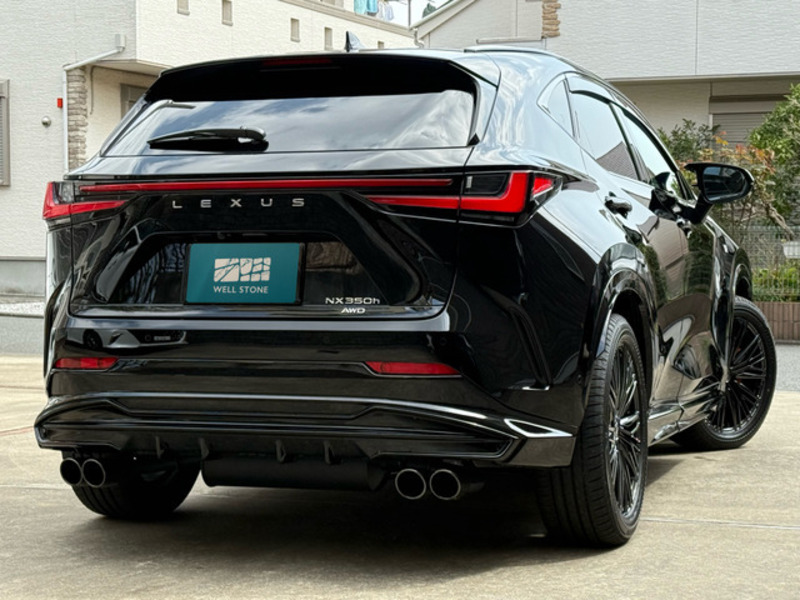 NX