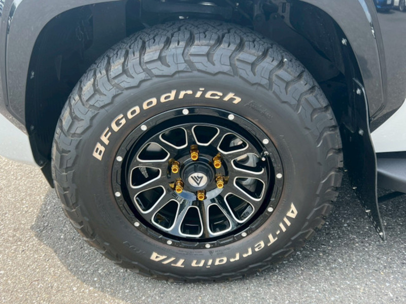 TRITON