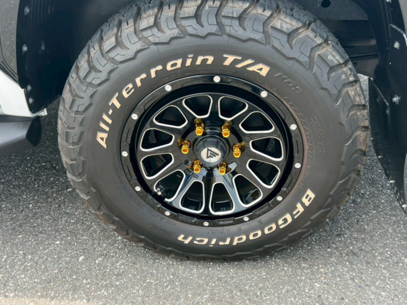 TRITON
