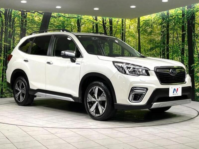 FORESTER