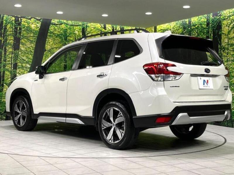 FORESTER