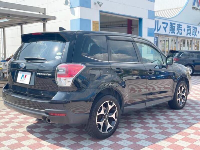 FORESTER