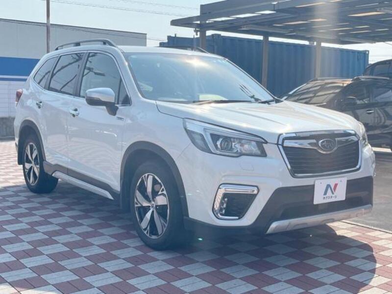 FORESTER