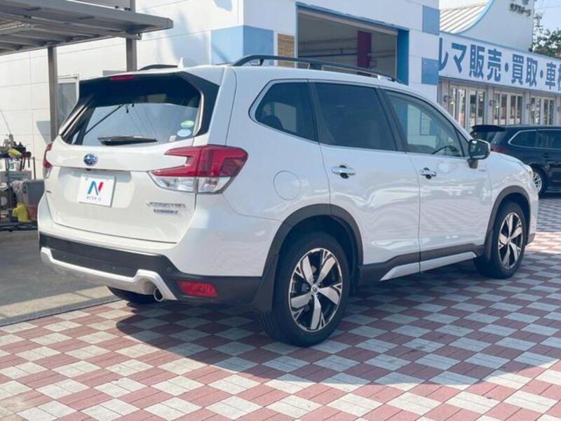 FORESTER