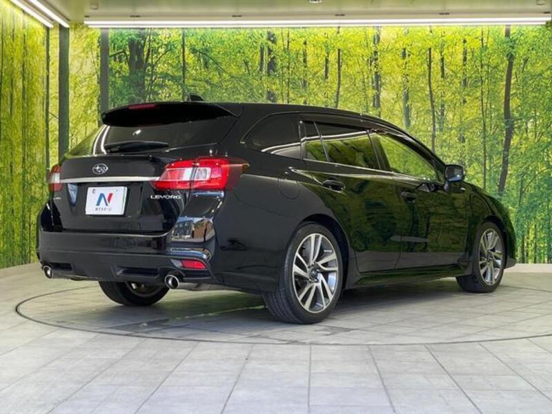 LEVORG