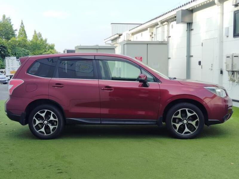 FORESTER