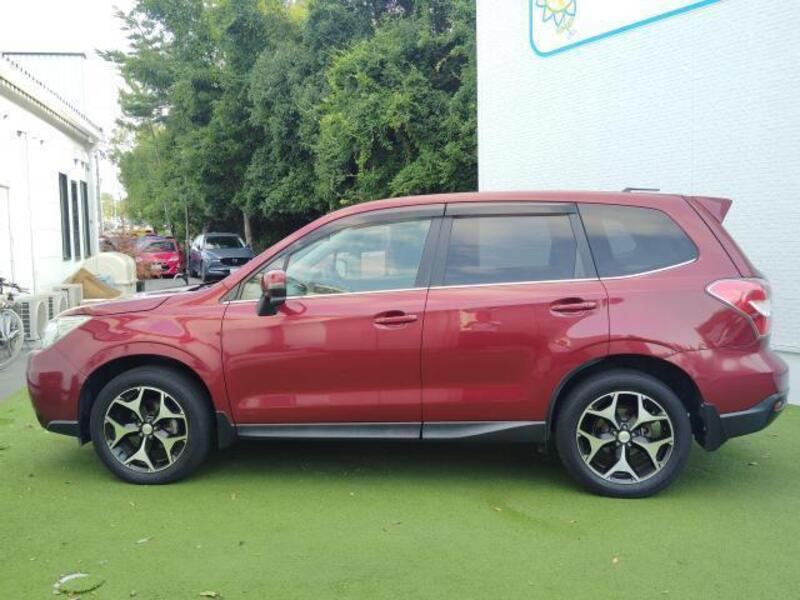 FORESTER