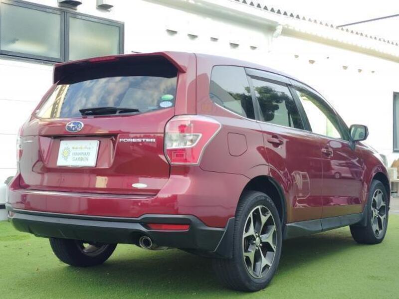 FORESTER